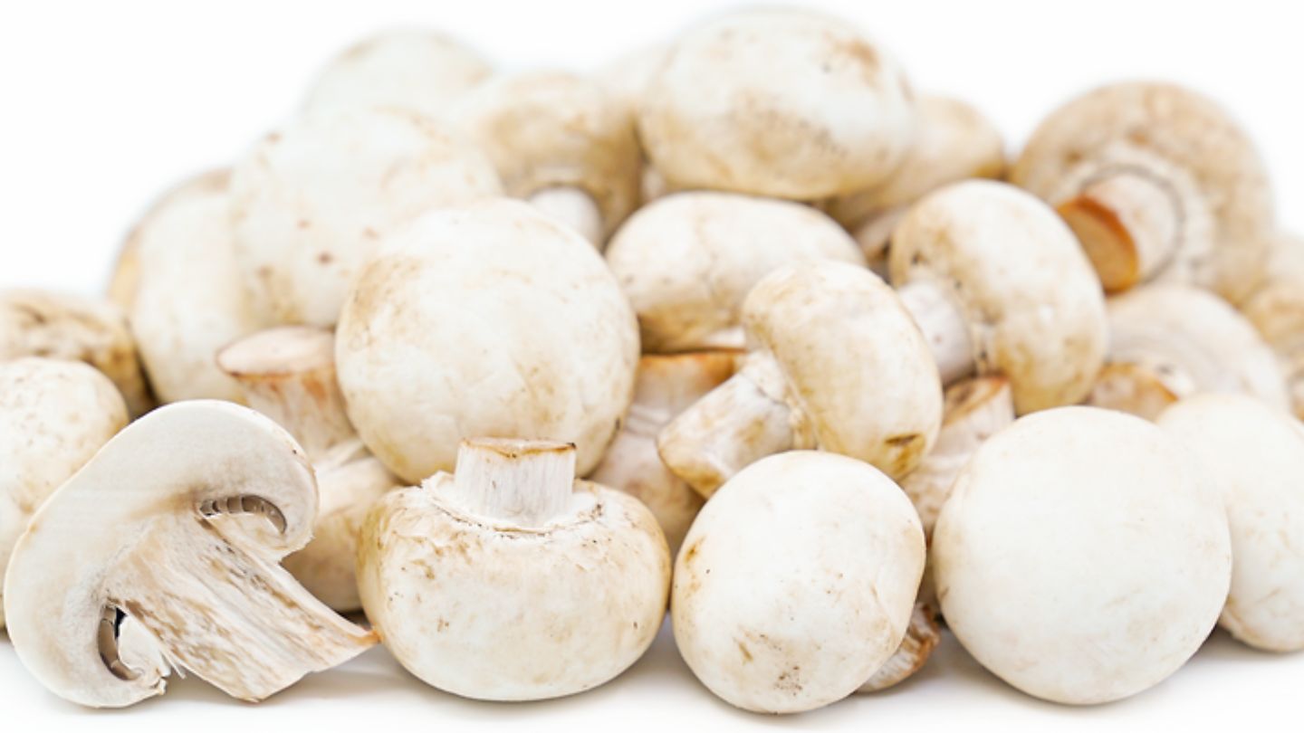 Guide to Cooking with Nutritious White Button Mushrooms 2024