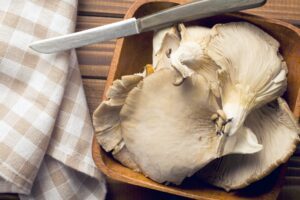 Oyster mushroom