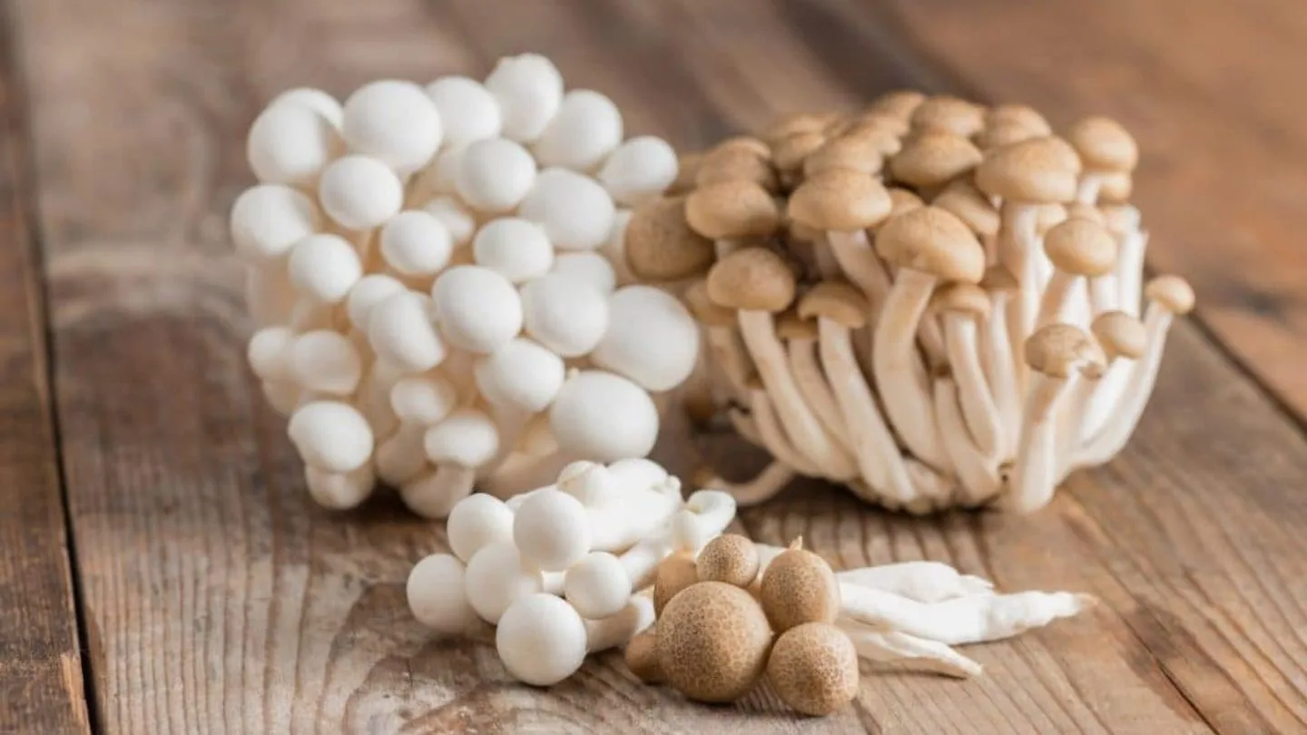 Shimeji Mushrooms: The Adorable, Nutritious Fungus